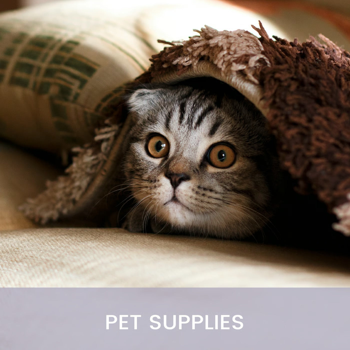 PET SUPPLIES